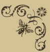 Malfroy's Gold Bee Right